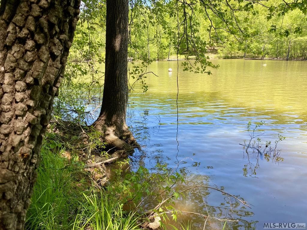 Lot 5 Palomino Road, Buffalo Junction VA 24529
