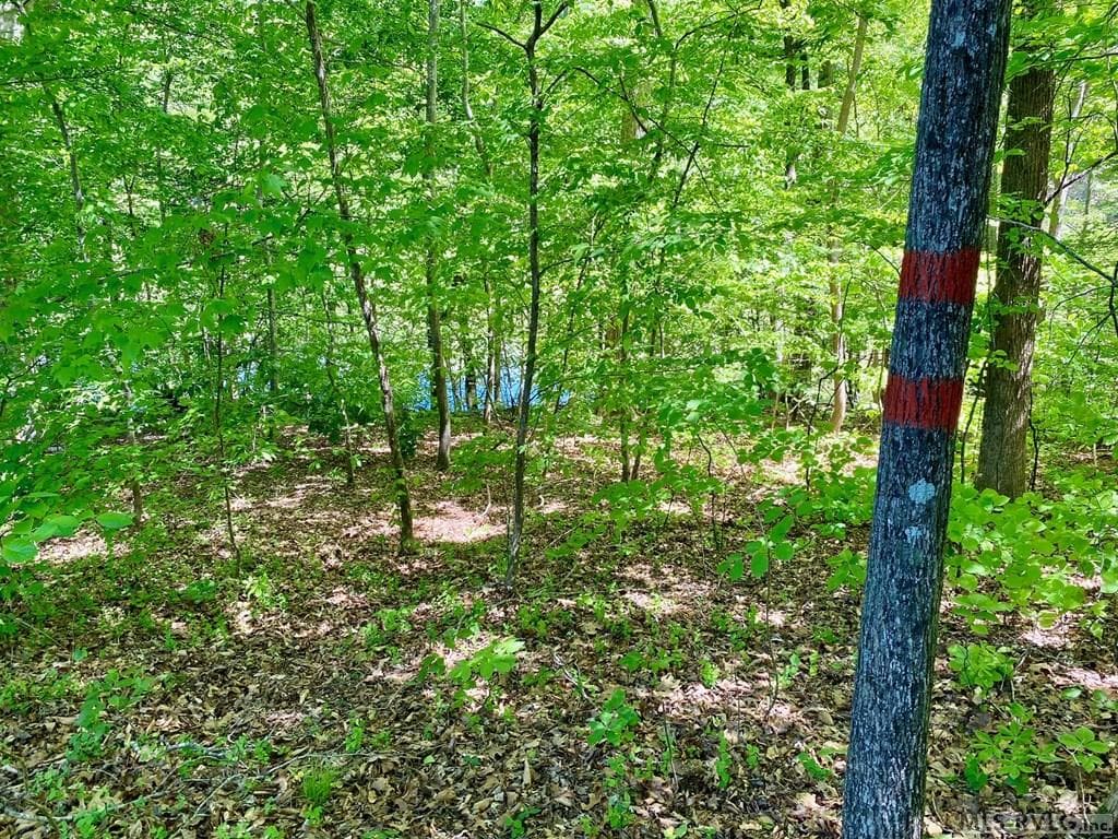 Middle Back of property - Lot 5 Palomino Road, Buffalo Junction VA 24529, Buffalo Junction