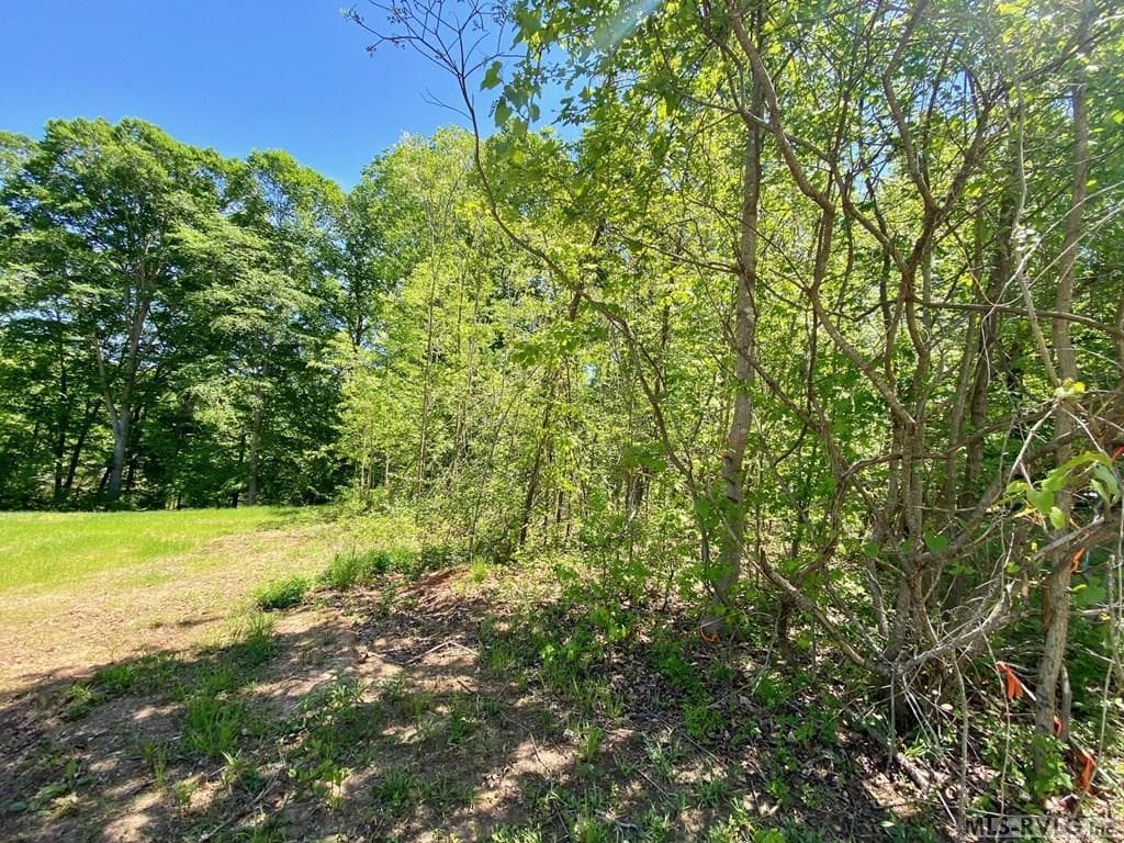 Left Side - Lot 5 Palomino Road, Buffalo Junction VA 24529, Buffalo Junction