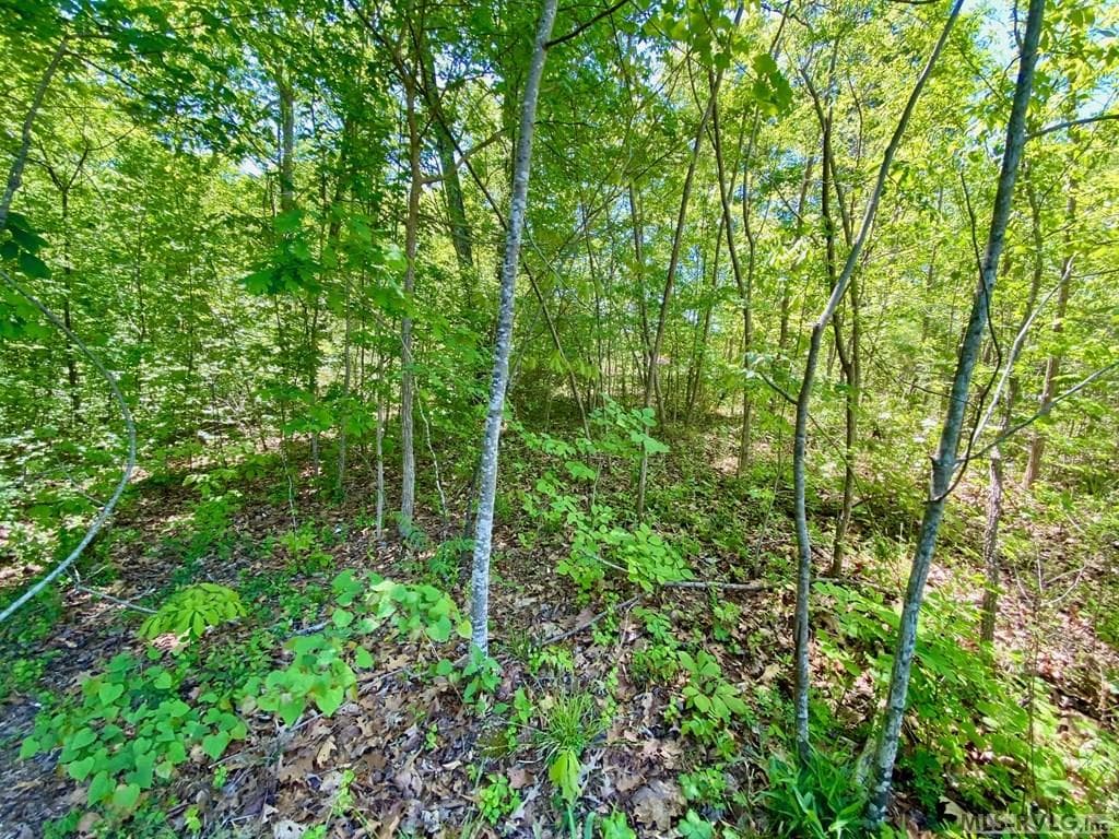 Lot - Lot 5 Palomino Road, Buffalo Junction VA 24529, Buffalo Junction
