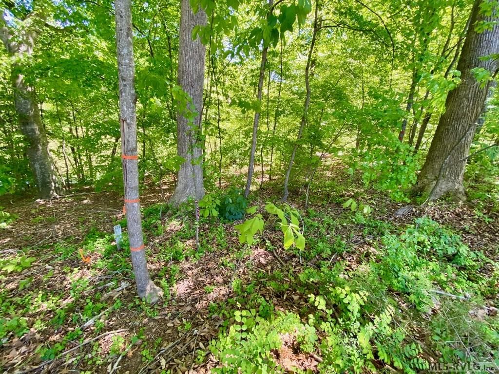 Left Front Corner - Lot 5 Palomino Road, Buffalo Junction VA 24529, Buffalo Junction