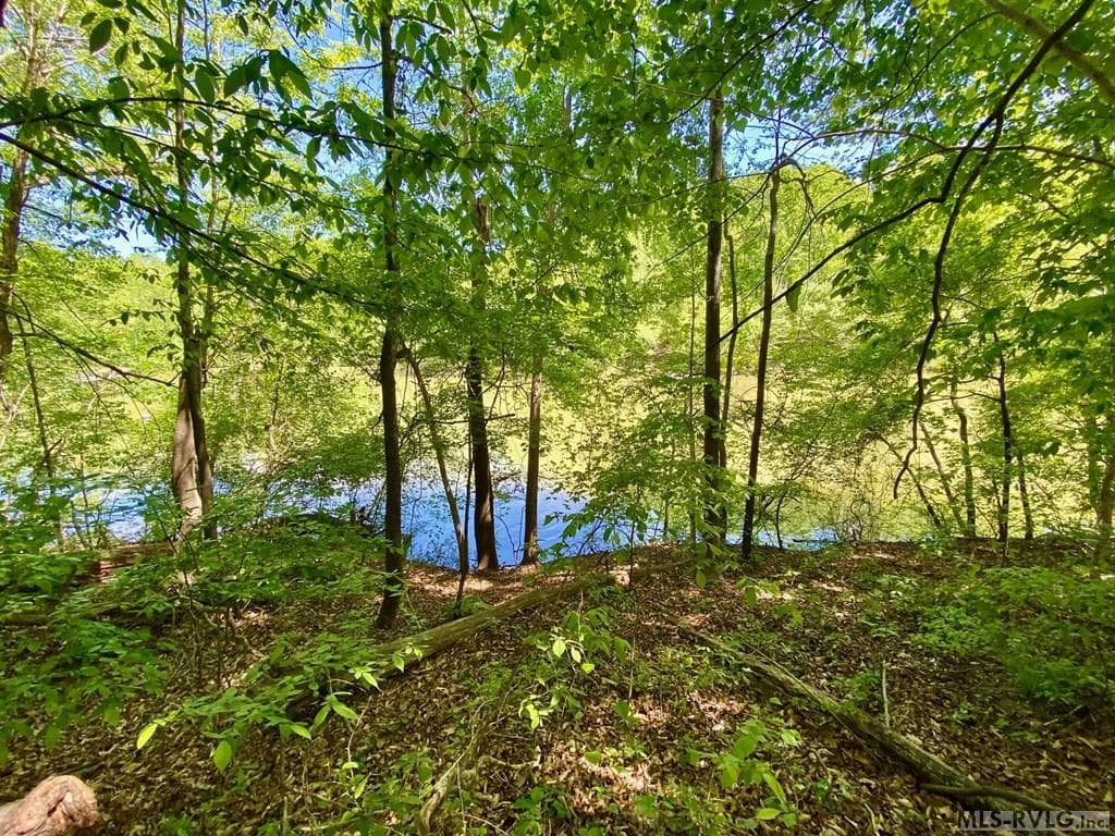 WaterFrontage - Lot 5 Palomino Road, Buffalo Junction VA 24529, Buffalo Junction