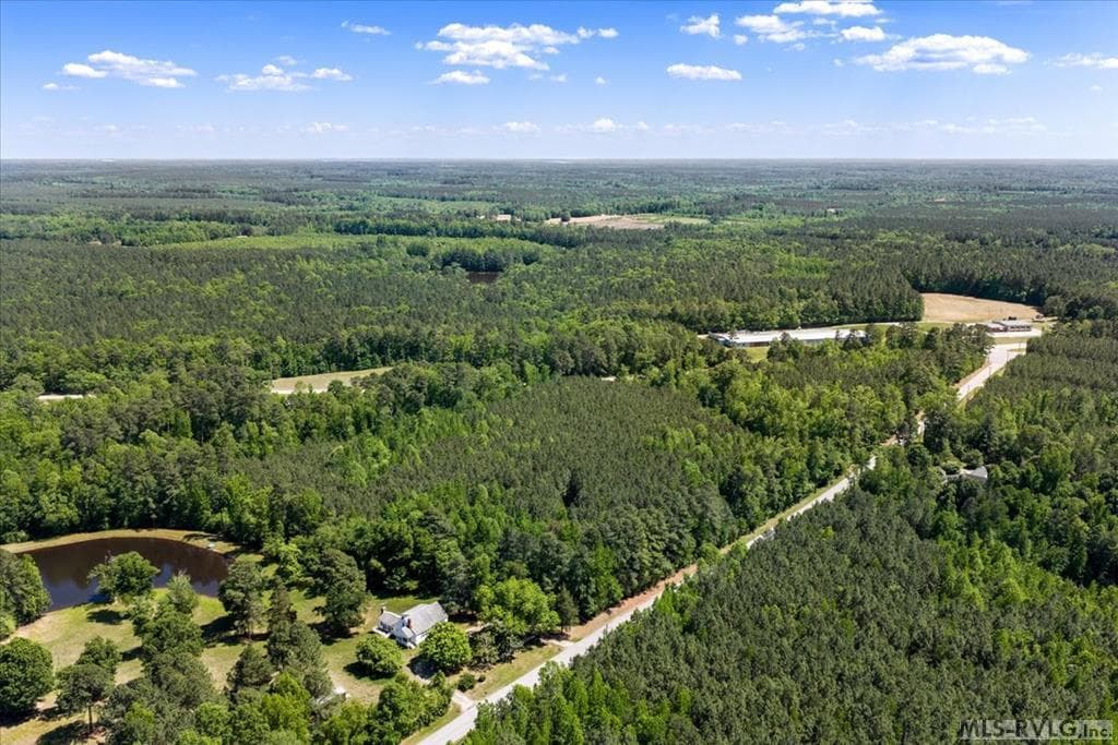 Acreage,Commercial,Other-See Remarks,Unimproved Land at 000 Main St And Hwy 1, Alberta VA 23821, Alberta, photo 6 of 46