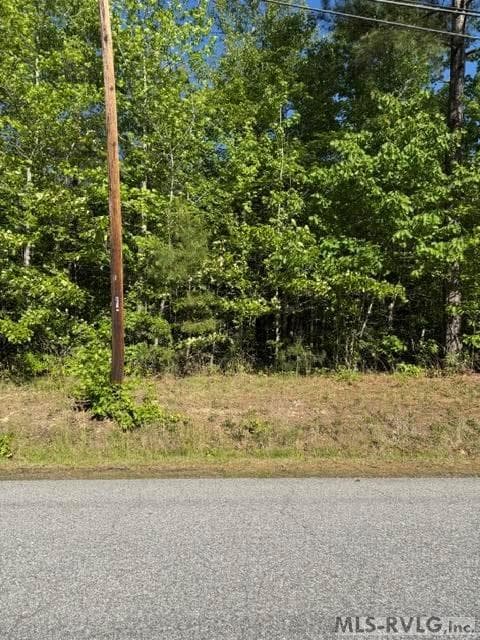 Acreage,Commercial,Other-See Remarks,Unimproved Land at 000 Main St And Hwy 1, Alberta VA 23821, Alberta, photo 42 of 46