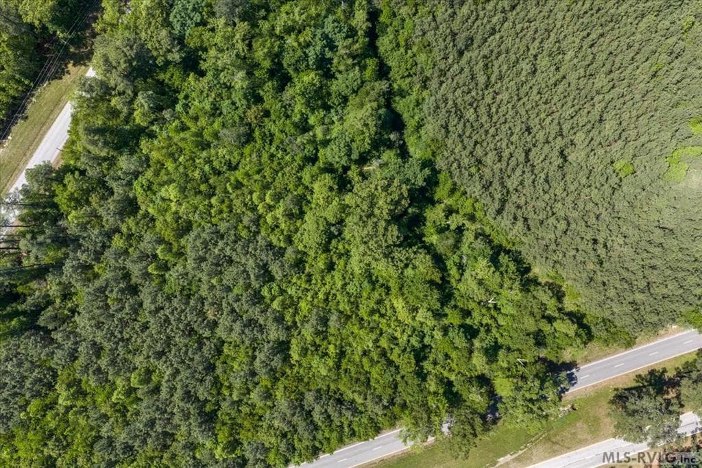 Acreage,Commercial,Other-See Remarks,Unimproved Land at 000 Main St And Hwy 1, Alberta VA 23821, Alberta, photo 13 of 46