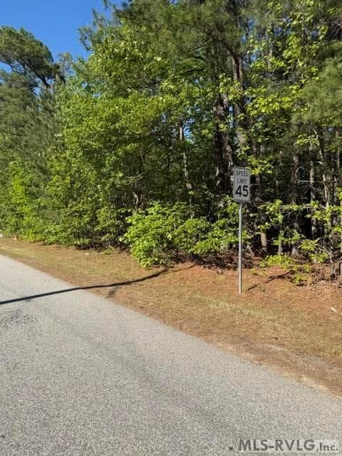 Acreage,Commercial,Other-See Remarks,Unimproved Land at 000 Main St And Hwy 1, Alberta VA 23821, Alberta, photo 43 of 46