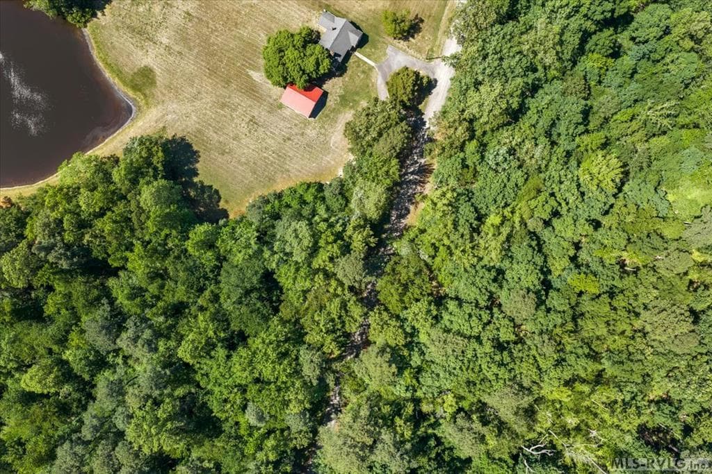 Acreage,Commercial,Other-See Remarks,Unimproved Land at 000 Main St And Hwy 1, Alberta VA 23821, Alberta, photo 16 of 46
