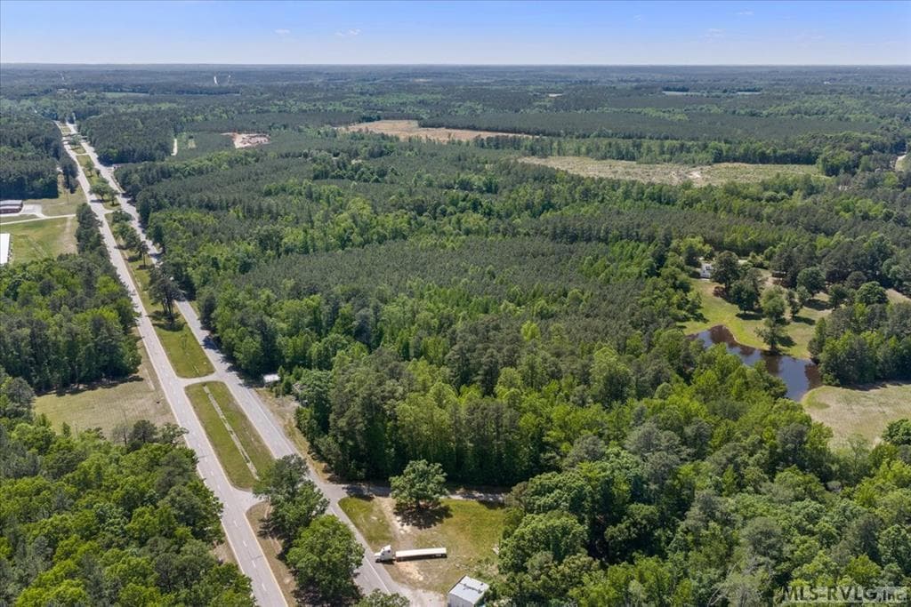 Acreage,Commercial,Other-See Remarks,Unimproved Land at 000 Main St And Hwy 1, Alberta VA 23821, Alberta, photo 3 of 46