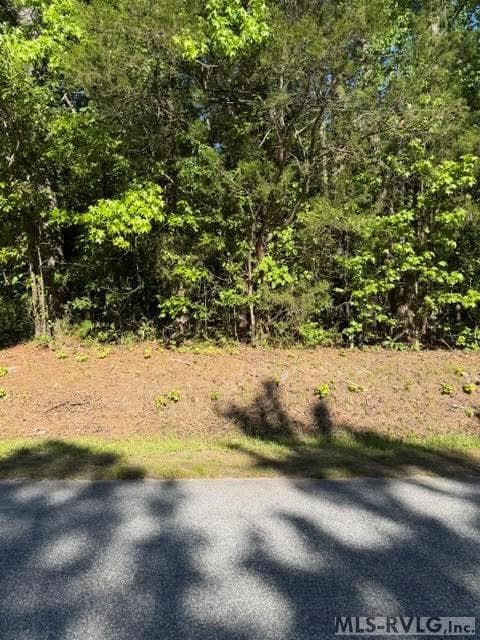Acreage,Commercial,Other-See Remarks,Unimproved Land at 000 Main St And Hwy 1, Alberta VA 23821, Alberta, photo 36 of 46