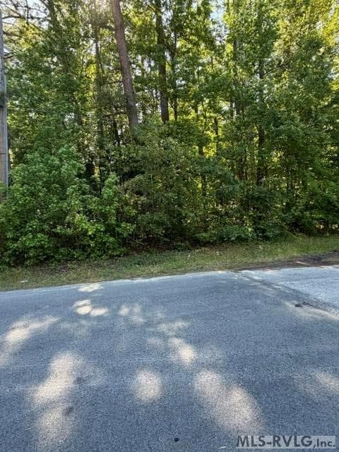 Acreage,Commercial,Other-See Remarks,Unimproved Land at 000 Main St And Hwy 1, Alberta VA 23821, Alberta, photo 30 of 46