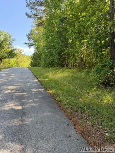 Acreage,Commercial,Other-See Remarks,Unimproved Land at 000 Main St And Hwy 1, Alberta VA 23821, Alberta, photo 34 of 46