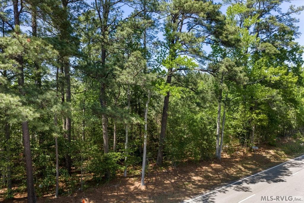 Acreage,Commercial,Other-See Remarks,Unimproved Land at 000 Main St And Hwy 1, Alberta VA 23821, Alberta, photo 10 of 46