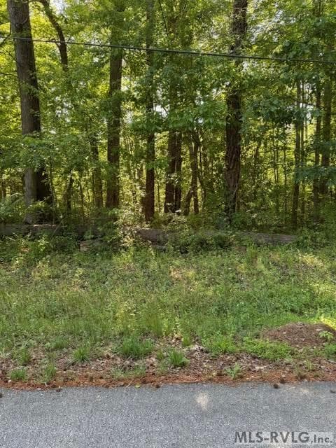 Acreage,Commercial,Other-See Remarks,Unimproved Land at 000 Main St And Hwy 1, Alberta VA 23821, Alberta, photo 33 of 46