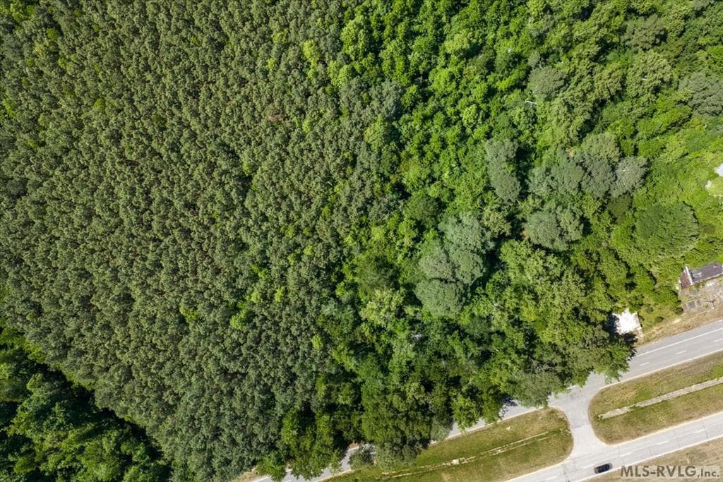 Acreage,Commercial,Other-See Remarks,Unimproved Land at 000 Main St And Hwy 1, Alberta VA 23821, Alberta, photo 14 of 46