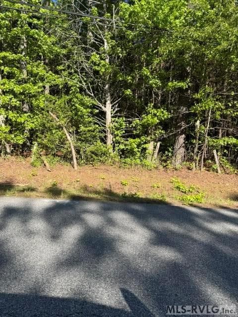 Acreage,Commercial,Other-See Remarks,Unimproved Land at 000 Main St And Hwy 1, Alberta VA 23821, Alberta, photo 41 of 46