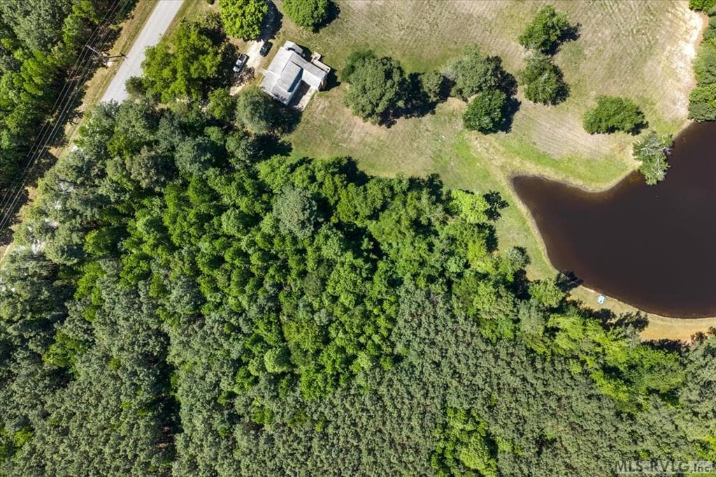 Acreage,Commercial,Other-See Remarks,Unimproved Land at 000 Main St And Hwy 1, Alberta VA 23821, Alberta, photo 18 of 46