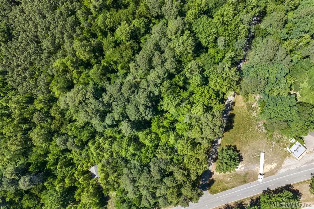 Acreage,Commercial,Other-See Remarks,Unimproved Land at 000 Main St And Hwy 1, Alberta VA 23821, Alberta, photo 15 of 46