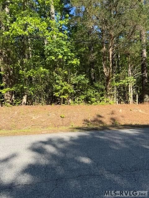 Acreage,Commercial,Other-See Remarks,Unimproved Land at 000 Main St And Hwy 1, Alberta VA 23821, Alberta, photo 40 of 46