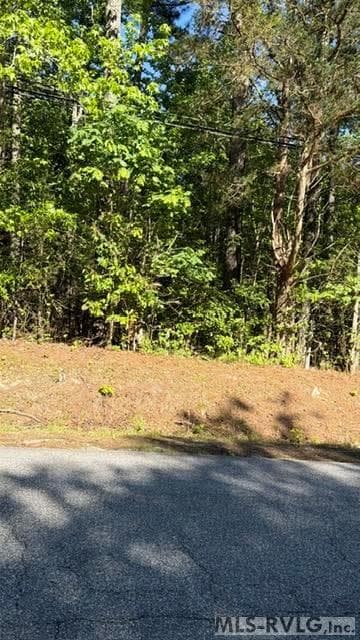 Acreage,Commercial,Other-See Remarks,Unimproved Land at 000 Main St And Hwy 1, Alberta VA 23821, Alberta, photo 39 of 46