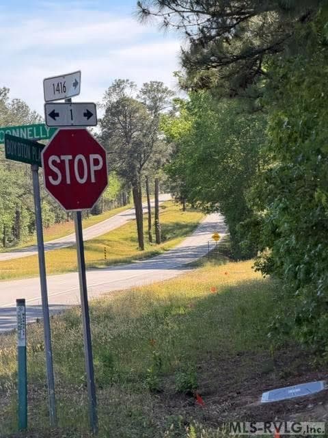 Acreage,Commercial,Other-See Remarks,Unimproved Land at 000 Main St And Hwy 1, Alberta VA 23821, Alberta, photo 29 of 46