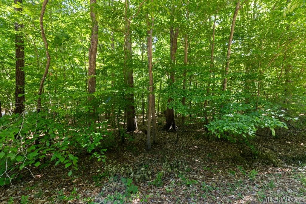 Lot #5 Fernwood Dr, Littleton NC 27850 photo 23