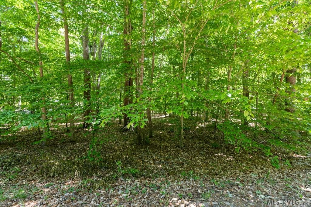 Lot #5 Fernwood Dr, Littleton NC 27850 photo 24
