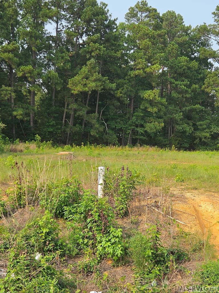 Lot # 29 Canterbury Court, Roanoke Rapids NC 27870 photo 6
