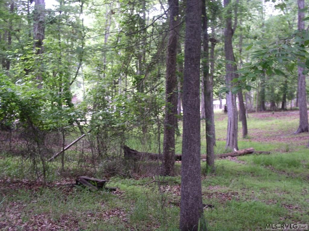 Residential Lot-Restricted,Unimproved Land at 105 Oak Run, Clarksville VA 23927, Clarksville, photo 2 of 13