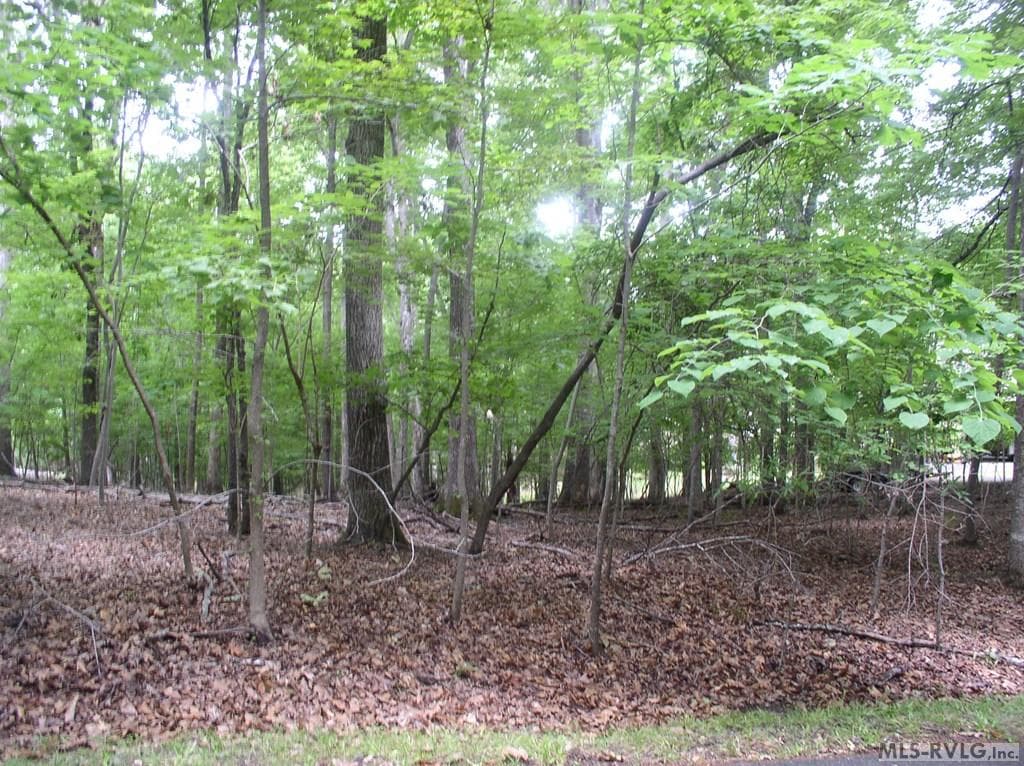 Residential Lot-Restricted,Unimproved Land at 105 Oak Run, Clarksville VA 23927, Clarksville, photo 6 of 13