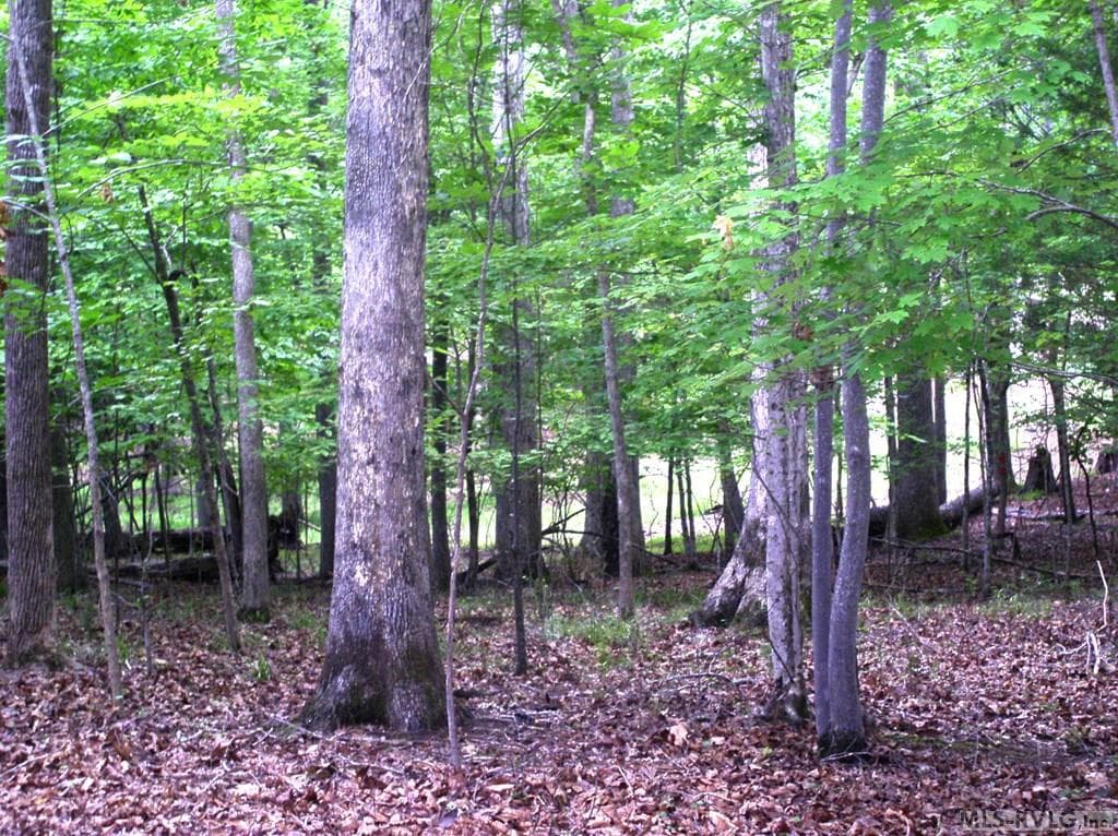 Residential Lot-Restricted,Unimproved Land at 105 Oak Run, Clarksville VA 23927, Clarksville, photo 7 of 13