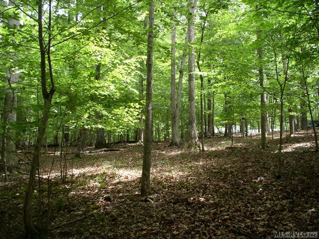 Residential Lot-Restricted,Unimproved Land at 105 Oak Run, Clarksville VA 23927, Clarksville, photo 5 of 13