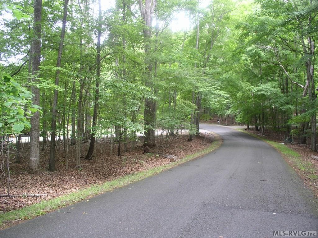 Residential Lot-Restricted,Unimproved Land at 105 Oak Run, Clarksville VA 23927, Clarksville, photo 9 of 13