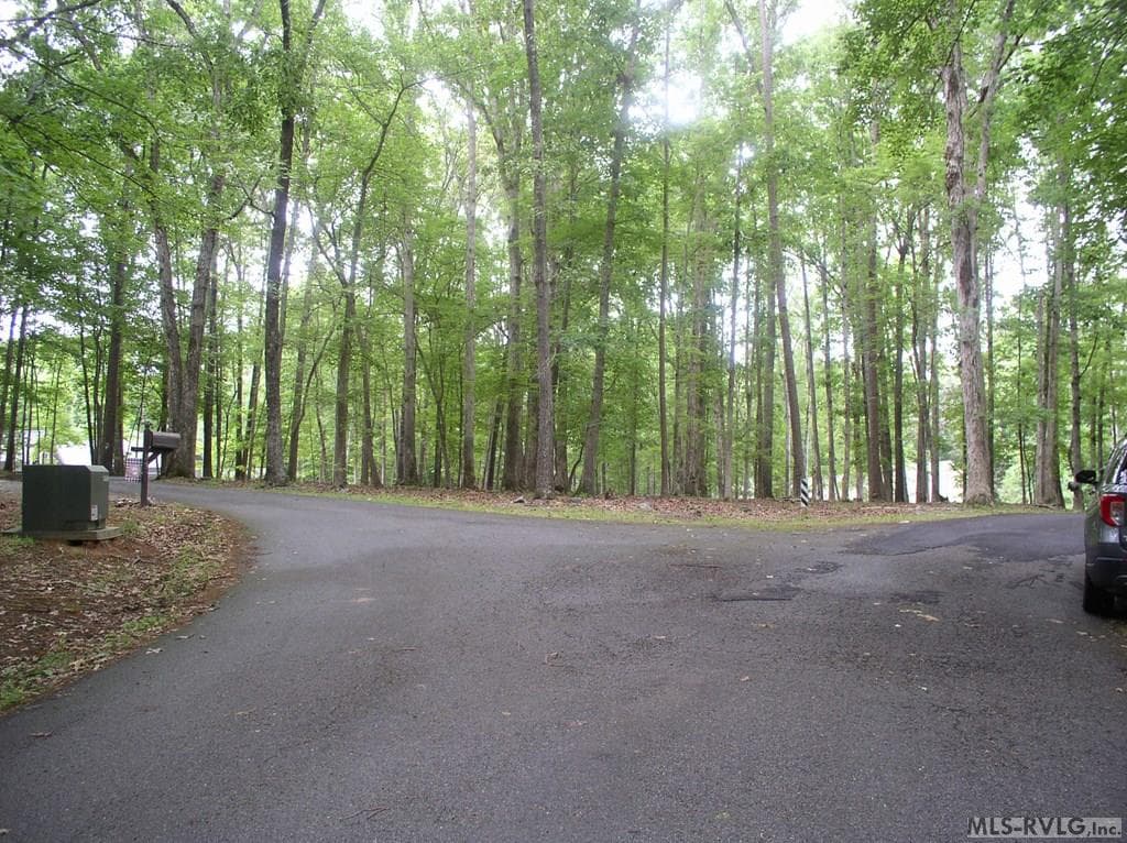 Residential Lot-Restricted,Unimproved Land at 105 Oak Run, Clarksville VA 23927, Clarksville, photo 10 of 13