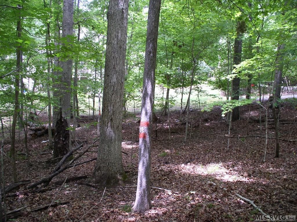 Residential Lot-Restricted,Unimproved Land at 105 Oak Run, Clarksville VA 23927, Clarksville, photo 8 of 13