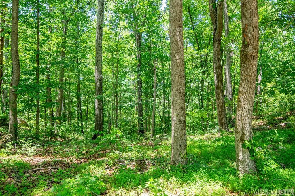 18858 Justice Branch Road, Littleton NC 27850 photo 27