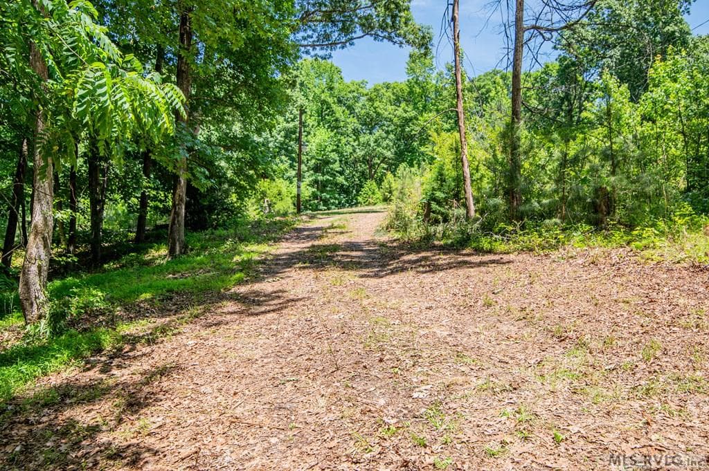18858 Justice Branch Road, Littleton NC 27850 photo 2