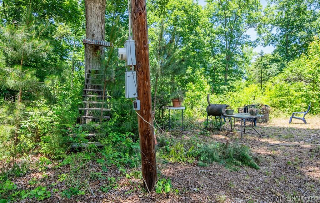 18858 Justice Branch Road, Littleton NC 27850 photo 16