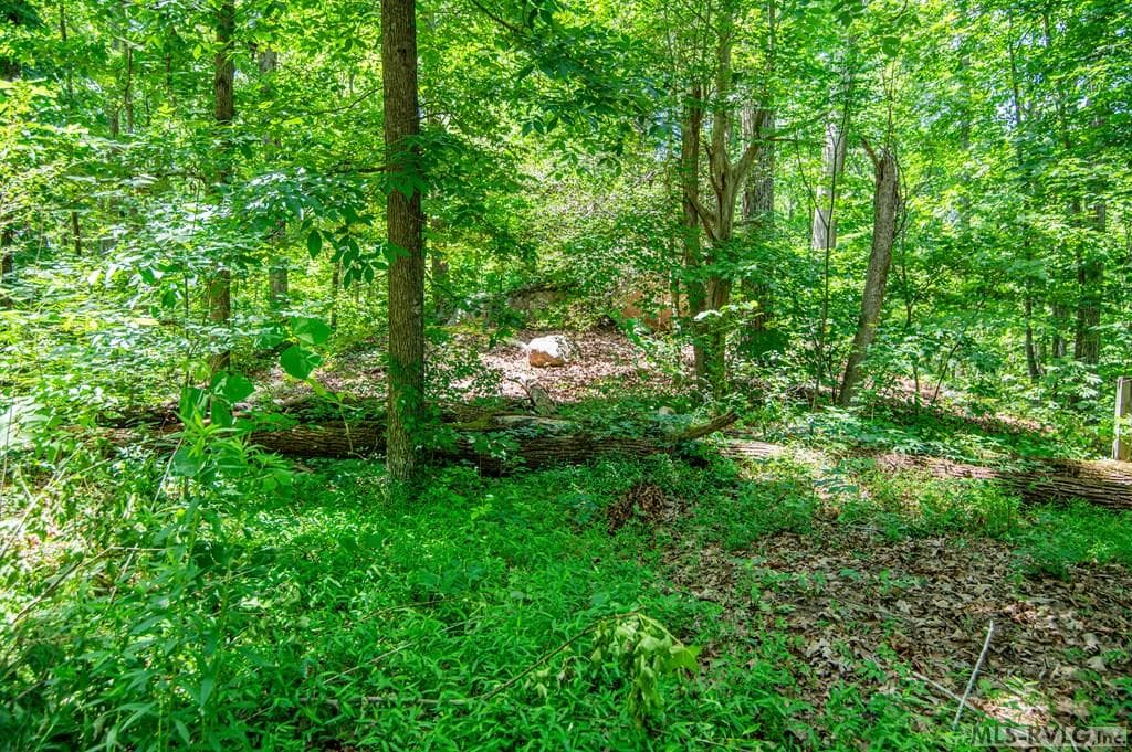 18858 Justice Branch Road, Littleton NC 27850 photo 26