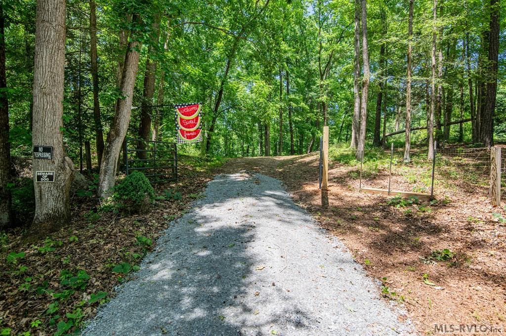 18858 Justice Branch Road, Littleton NC 27850 photo 7