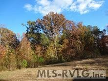 18858 Justice Branch Road, Littleton NC 27850 photo 65