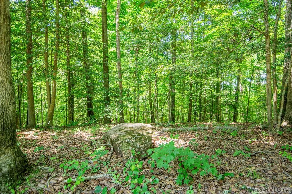 18858 Justice Branch Road, Littleton NC 27850 photo 10