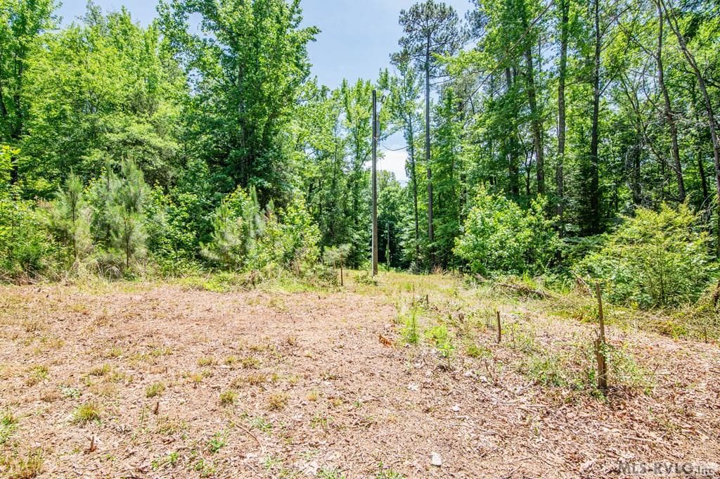 18858 Justice Branch Road, Littleton NC 27850 photo 14