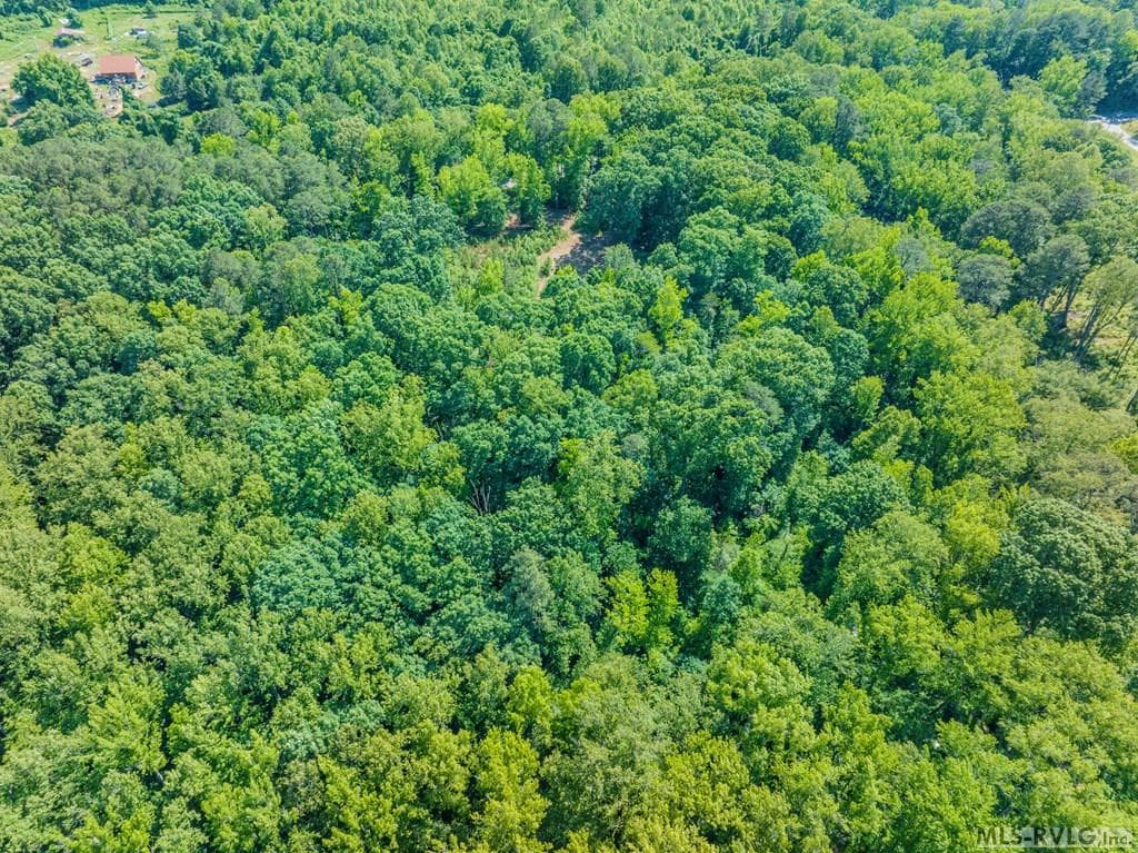 18858 Justice Branch Road, Littleton NC 27850 photo 48