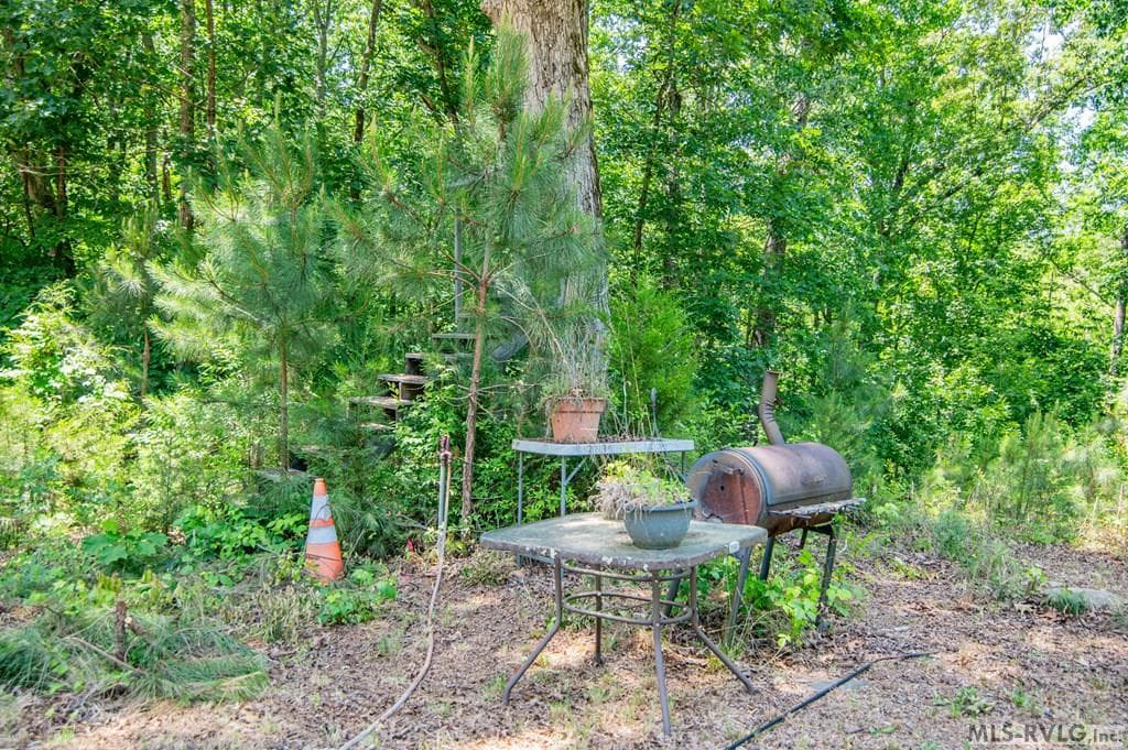 18858 Justice Branch Road, Littleton NC 27850 photo 4