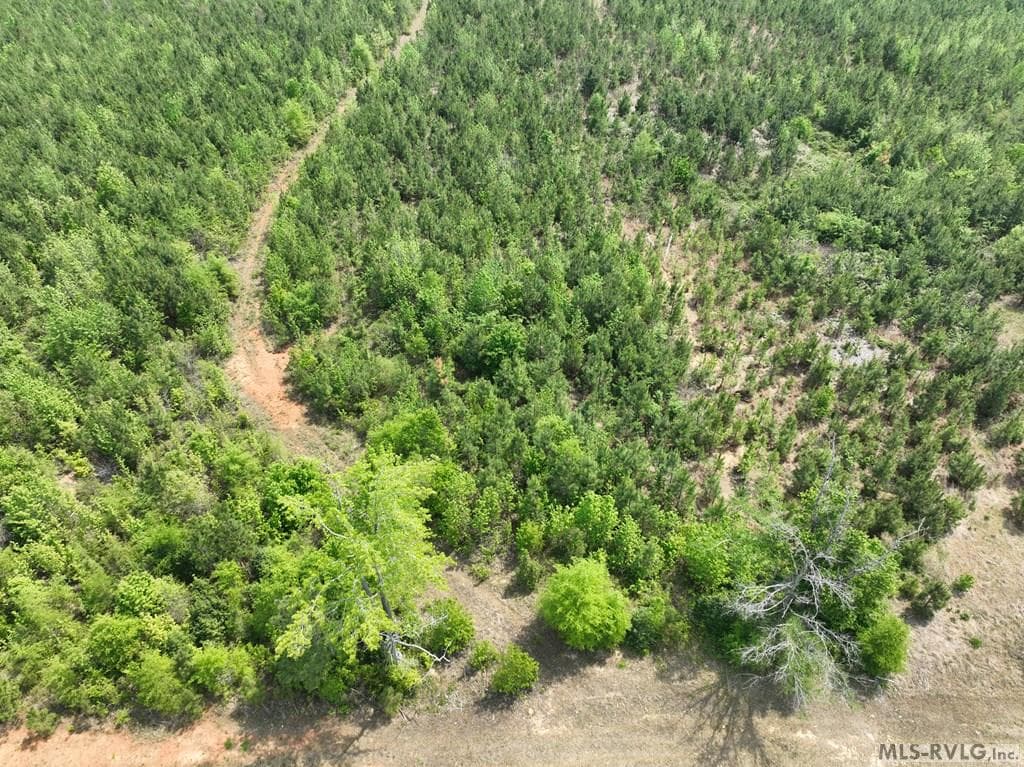 000 Jones Mill Rd, Emporia VA 23847 photo 43