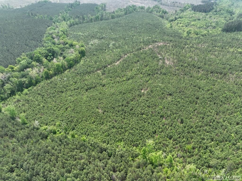 000 Jones Mill Rd, Emporia VA 23847 photo 16