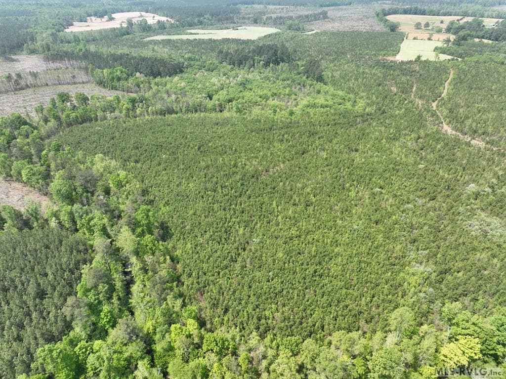 000 Jones Mill Rd, Emporia VA 23847 photo 12