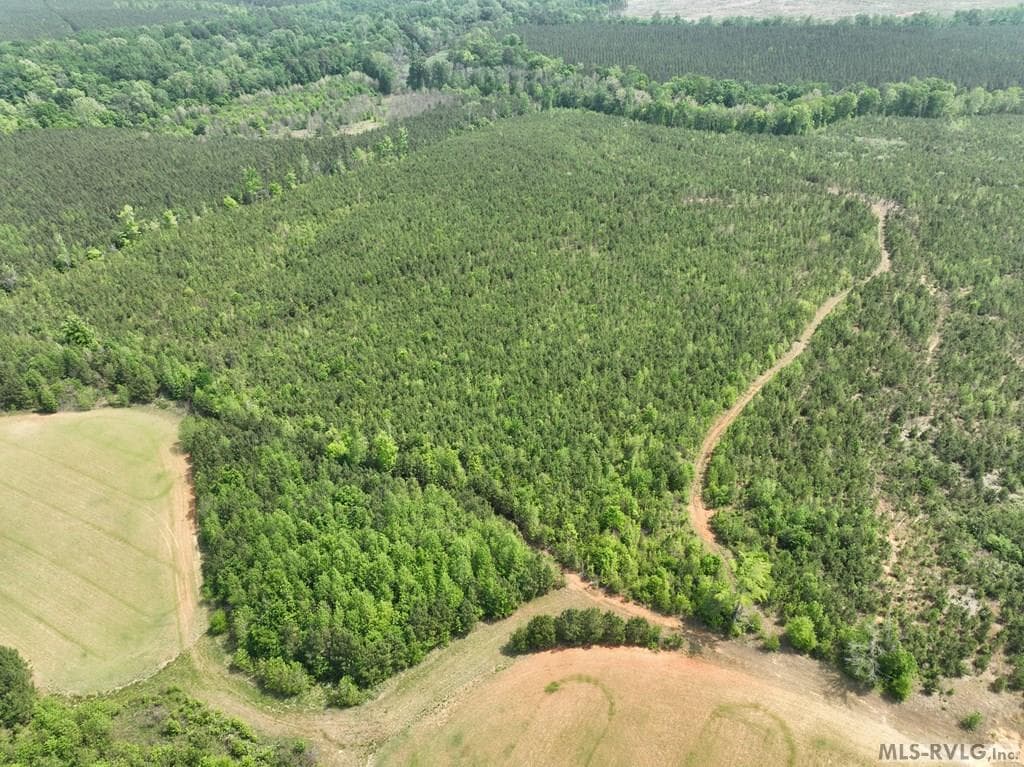 000 Jones Mill Rd, Emporia VA 23847 photo 20