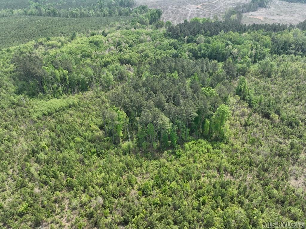 000 Jones Mill Rd, Emporia VA 23847 photo 38