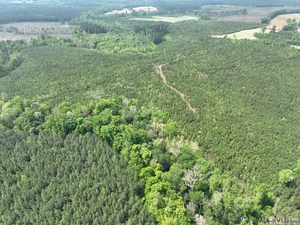 000 Jones Mill Rd, Emporia VA 23847 photo 14